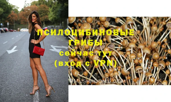 тгк Сатка
