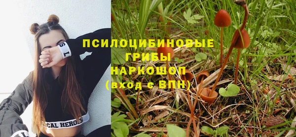 мяу мяу мука Сафоново